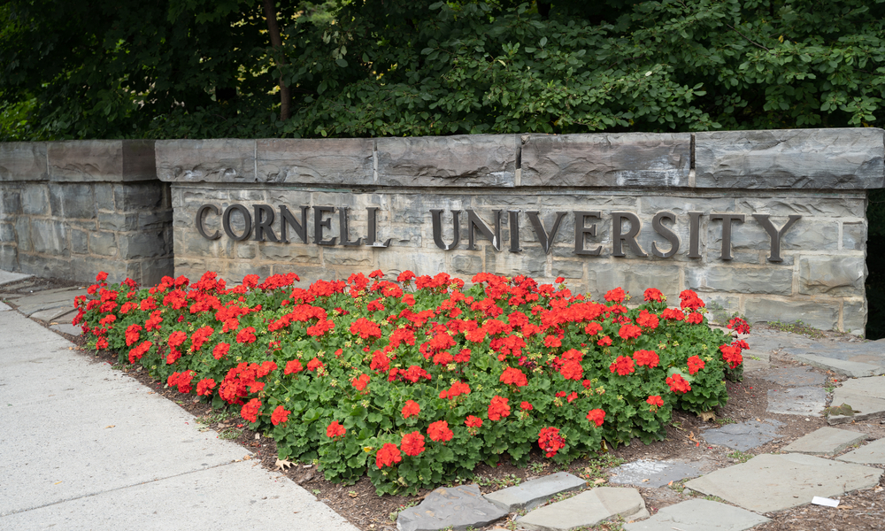 supplemental essay for cornell university
